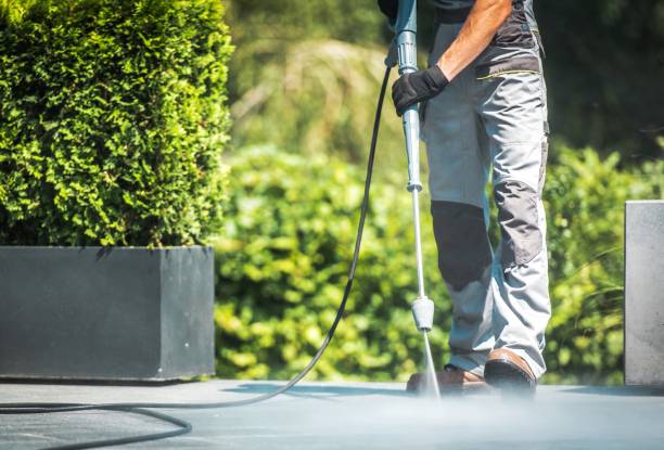 Best Spring Cleaning  in Longwood, FL